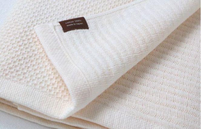 y{򍲖szG1981 y\tgnjJzB암D ~joX^I 10ix[Wj+\tgnjJDn[tnJ`1