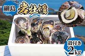【期間限定発送】牡蠣 岩牡蠣 殻付き 細島 岩ガキ 約 2kg [日向サンパーク 宮崎県 日向市 452061757] かき カキ 岩牡蠣 岩がき 貝 海鮮 魚介 魚介類 冷蔵 新鮮 ふるさと納税 濃厚 クリーミー BBQ 焼き牡蠣 蒸し牡蠣 ほそしま 日豊海岸