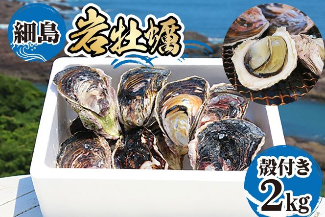 【期間限定発送】牡蠣 岩牡蠣 殻付き 細島 岩ガキ 約 2kg [日向サンパーク 宮崎県 日向市 452061757] かき カキ 岩牡蠣 岩がき 貝 海鮮 魚介 魚介類 冷蔵 新鮮 ふるさと納税 濃厚 クリーミー BBQ 焼き牡蠣 蒸し牡蠣 ほそしま 日豊海岸