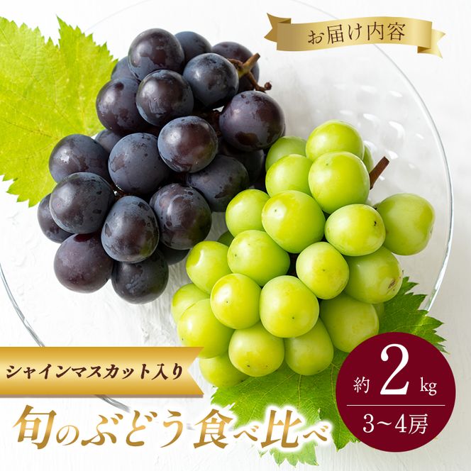 9月限定｜採れたて旬のぶどう 食べ比べ 約2kg（3～4房）シャインマスカット入り セット 詰め合わせ 産地直送 フルーツ 兵庫県 加西市