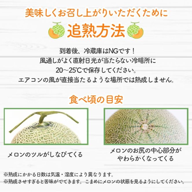 【2026年夏発送】北海道 富良野 メロン 3Lサイズ 約2kg×1玉 フルーツ 果物