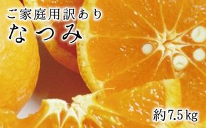  【ご家庭用訳アリ】 初夏の みかん なつみ 7.5kg  / 果物 柑橘 甘い 和歌山 有田 ※2027年4月中旬頃〜4月下旬頃に順次発送予定(お届け日指定不可)  ※離島への配送不可【uot733A】
