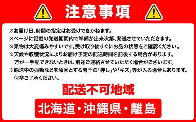 【2026年先行予約】梨 岡山県産 新高梨 約4kg 3～6玉 株式会社山博《2026年9月下旬-11月上旬頃出荷》新高 フルーツ 化粧箱入り 岡山県 笠岡市 送料無料---Y-36a---