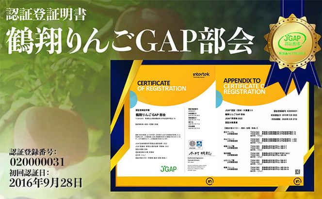 11～12月発送【 糖度保証 】家庭用 葉取らず サンふじ 約 3kg【 訳あり 】鶴翔りんごGAP部会 青森県産 津軽産 リンゴ 林檎 果物 フルーツ デザート 甘味 酸味 食感
