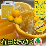 ちょっと 傷あり 手さげ箱 有田 はっさく 2L ~ M 4~6玉入 ムッキー 同梱 南泰園 みかん BS719