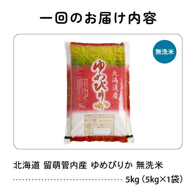 【新米予約】【12ヵ月定期便】令和8年産 ゆめぴりか 無洗米 5kg 北海道 留萌管内産 R004-241