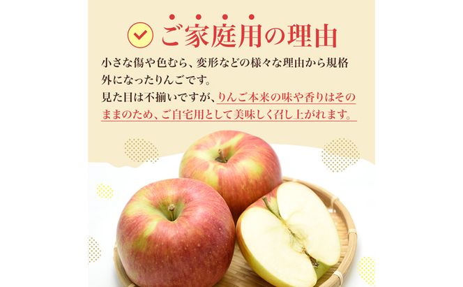 シナノスイート 秀品 約5kg 長野県産 果物類 林檎 りんご リンゴ フルーツ 小諸市