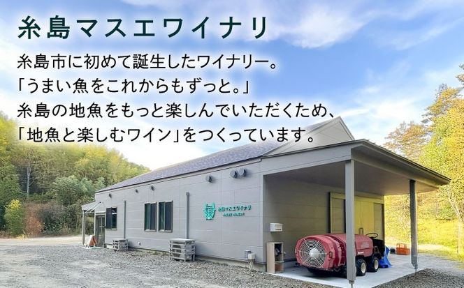 【年内発送】【糸島マスエワイナリ】STILL 甲州 1本 糸島市 / いとしのいとしま / ワイン お酒[AEP004] 白ワイン 国産 ワイン 辛口 白 ぶどう 甲州 魚介 糸島 ワイナリー