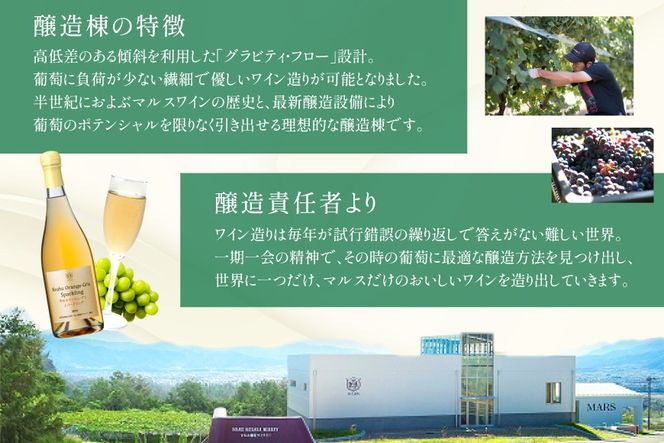 ワイン 甲州オランジュ･グリ スパークリング [本坊酒造株式会社マルス穂坂ワイナリー 山梨県 韮崎市 20745330] Wine わいん お酒 酒 スパークリングワイン オレンジワイン 甲州 山梨ワイン