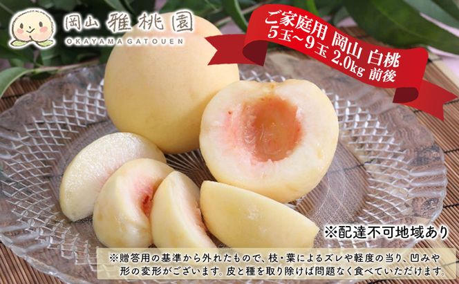 桃 2026年 先行予約 ご家庭用 岡山 白桃 5玉～9玉 2.0kg 前後 もも 岡山県産 国産 フルーツ 果物 雅桃園