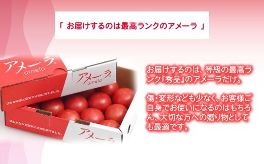 2B4アメーラトマト