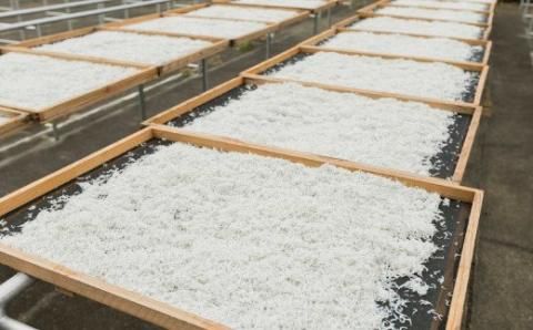 【セット】釜揚げしらす(200g×2) と 天日干しちりめん(200g×2)【冷凍】無添加・無着色 しらす シラス 釜揚げ 小分け 冷凍 ちりめん【mar104】