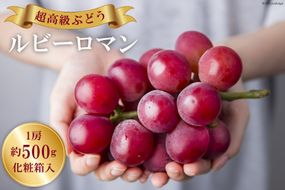 【期間限定発送】 超高級 ぶどう ルビーロマン 1房 約500g 化粧箱入 [モアショップヤマモト 石川県 宝達志水町 38601385] ブドウ 葡萄 果物 くだもの フルーツ 贈答品 美味しい 甘い