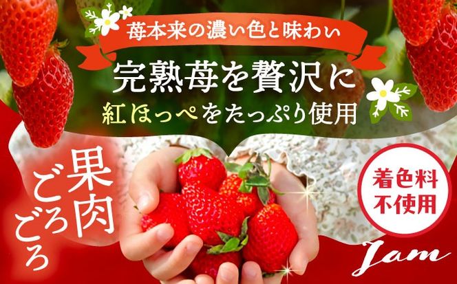 いちごジャム 3本セット 果物 フルーツ 紅ほっぺ いちご 愛西市 / くぼ苺農園 【配達不可：離島】[AECJ022]