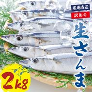 【2025年先行予約】 訳あり 鮮さんま 約2kg 冷蔵 秋刀魚 限定 期間限定 旬 簡単調理 焼き魚 煮魚 フライ おかず おつまみ 晩酌 米 丼 海産物 海鮮 魚介 魚介類 三陸 岩手県 大船渡市 [daisei002]