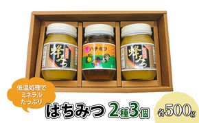 はちみつ セット 2種 レンゲブレンド 500g×2個 野山のハチミツ 500g×1個 詰め合わせ 食べ比べ 蜂蜜 ハチミツ 