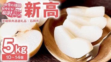 梨 新高 5kg（10〜14個）【令和6年10月より発送開始】（茨城県共通返礼品：石岡市産）田舎の頑固おやじが厳選！ なし 新高梨 和梨 フルーツ 果物 くだもの 高糖度 ギフト 茨城 [BI306-NT]