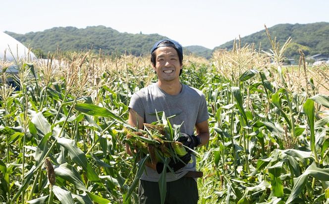 ［2026年先行予約］牛窓産とうもろこし まるでフルーツ！生で甘い、茹でて美味い！「桃太郎コーン」と「うしまどんな」のセット 約4kg 8～12本入り 産地直送 食べ比べ 