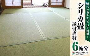 現代の名工カンパニー特製！シリカ畳縁付表替（畳1帖サイズ6枚）　K348-003
