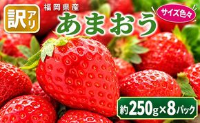 訳あり いちご 2027年2月下旬より発送 あまおう サイズ色々 8パック 約2kg 配送不可 離島 果物 フルーツ 福岡県特産 デザート おやつ 産地直送 
