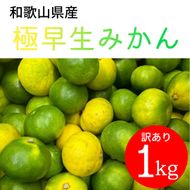 家庭用 和歌山県産 極早生みかん 1kg DJ028