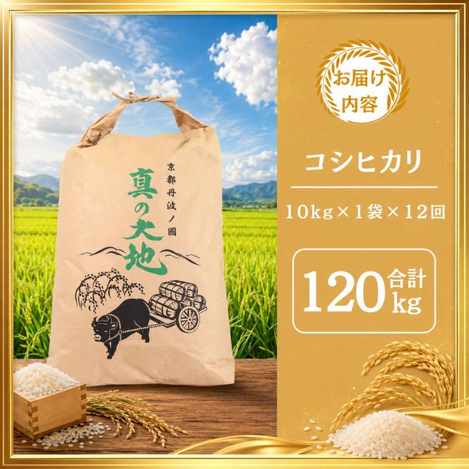 定期便 令和8年産 京都丹波産 コシヒカリ 10kg 12回 京都 お米 米 令和8年 10キロ 新米 新米26