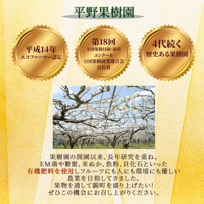 定期便 2回 先行予約 【 桃 白桃 6～7月頃 梨 8～10月頃 】白鳳 特製桃源郷錦 約1kg、清流錦梨 約5kg もも モモ なし フルーツ 果物 デザート お楽しみ 2026年発送 配送不可:離島 