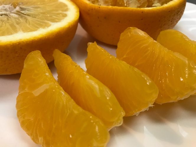 家庭用 5.5kg 訳あり 傷多め 木成完熟 紅はっさく L または M サイズ 茶箱 南泰園【2026年4月上旬～発送】 	BS792