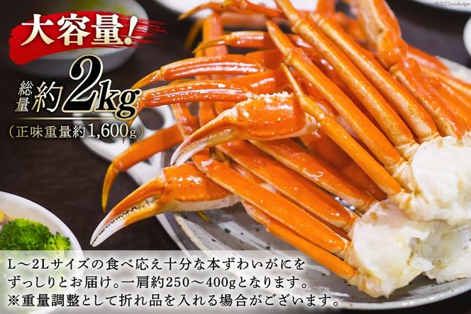 かに【2025 年内配送】 ボイル済み 本ずわいがに 脚 3L～4L 総重量 2kg [カネダイ 宮城県 気仙沼市 20564764] カニ 蟹 ズワイガニ ずわい蟹 ズワイ蟹 ずわい ズワイ 海鮮 魚介類 カニ脚 蟹脚 足 ボイル ご褒美