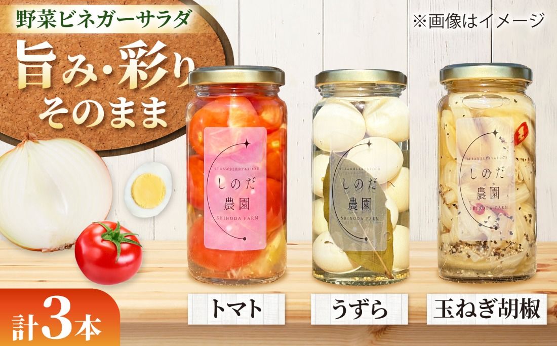 野菜ビネガーサラダ 3本(うずら・トマト・玉ねぎ黒胡椒) ビネガーサラダ 常備菜 おかず 愛西市 / しのだ農園-SHINODA FARM-[AECE012]