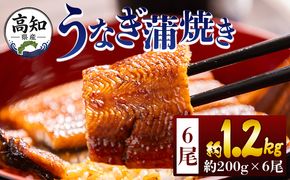 うなぎ 高知県産蒲焼きうなぎ ２００ｇ ６尾 計１２００ｇ fb-0163