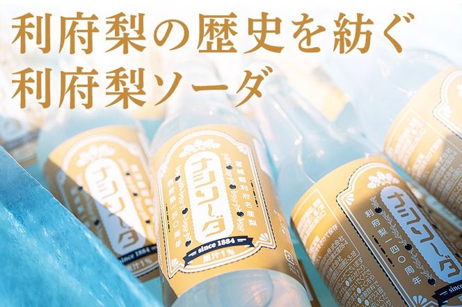 【利府梨のソーダ】ナシソーダ（飲みきりサイズ）340ml×24本セット|06_ccp-022401