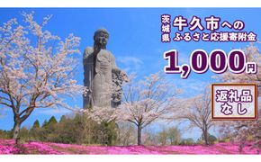 【 返礼品なし 】 茨城県 牛久市 ふるさと応援寄附金 ( 1,000円 ) [ZZ001us]