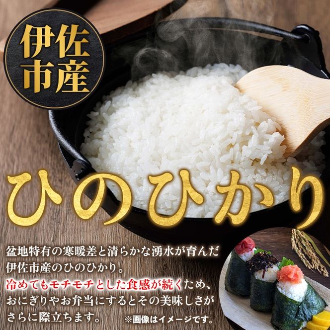 isa857 令和7年度産 鹿児島県伊佐市産米ひのひかり(無洗米/5kg×1袋) 鹿児島県 伊佐市 ひのひかり 無洗米 国産米 米 精米 伊佐米 【タイヨー】