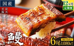 【12ヶ月定期】うなぎ 国産 鰻 特上サイズ 6尾 合計1080g (刻みうなぎ30g×3袋含む) うまか鰻 《申込み翌月から発送》 九州産 たれ さんしょう 付き ウナギ 鰻 unagi 蒲焼 うなぎの蒲焼 惣菜 ひつまぶし きざみうなぎ 特大サイズ 訳あり 定期便 蒲焼き ふるさとのうぜい---mf_fsktei_24_396500_mo12num1_6p---