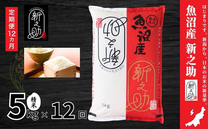 米 定期便 12ヶ月 新之助 5kg 精米 白米 お米 新潟米新之助  新潟米 新潟 十日町市 定期 12回