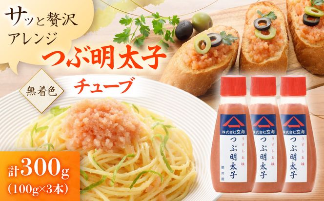 「つぶ明太子」無着色辛子明太子(チューブ)100g×3本セット【玄海】_HA0923