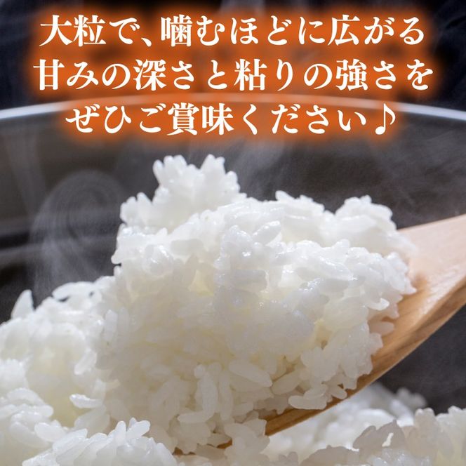【新米 先行予約 】★令和8年産★「ゆうだい21」白米 精米 27キロ   (AU042)