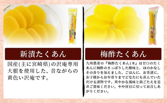 ＜漬物詰め合わせ 10種セット＞翌月末迄に順次出荷【 漬け物 詰め合わせ 食べ比べ セット 加工品 国産 沢庵 たくあん 大根 しそ味 ごはん ご飯のお供 お茶漬け 付け合わせ 】【b0917_kn_x1】
