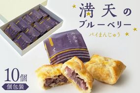 お菓子 個包装 満天のブルーベリー 10個入 [谷口製菓 石川県 宝達志水町 38601295] 菓子 焼菓子 菓子折り 和菓子 パイ スイーツ おかし おやつ 常温 ブルーベリー