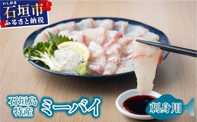 yꌧΊ_szΊ_Y~[oCiCgn^j̔LOhgp KS-16