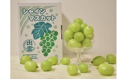 【2026年7月下旬以降発送】いずもぶどう 訳ありシャインマスカット（粒っこ）1kg見当 新鮮 甘い フルーツ 果物 322032_CG004