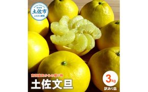 【先行予約】『南国高知からの贈り物』土佐文旦 訳あり（家庭用）3kg＜2027年2月下旬頃～発送＞ 3キロ 5玉～7玉入 サイズ混合 期間限定 数量限定 文旦 ぶんたん ブンタン 柑橘 みかん 果物 フルーツ ふるさと納税 【ファーマーズマーケットひなた】[BQBT001]