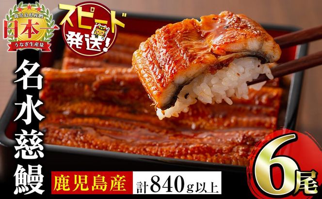 鹿児島県産うなぎ蒲焼 名水慈鰻 6尾＜計840g以上＞ c3-024