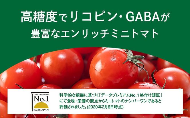 エンリッチミニトマト1kg【28003AA0101】