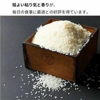 【12月末まで】【令和7年産 新米】京都丹波・亀岡産 キヌヒカリ 5kg 米 白米 ※精米したてをお届け《契約栽培米 米・食味鑑定士厳選 きぬひかり 京都丹波産 数量限定 訳あり 簡易包装》※北海道・沖縄・離島への配送不可