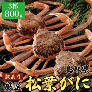 1049.【2025年12月～2026年1月発送】特撰 松葉がに（なま）【訳あり】800g超の大きいサイズ 食べ応えあり 特大3杯 313726_BS027