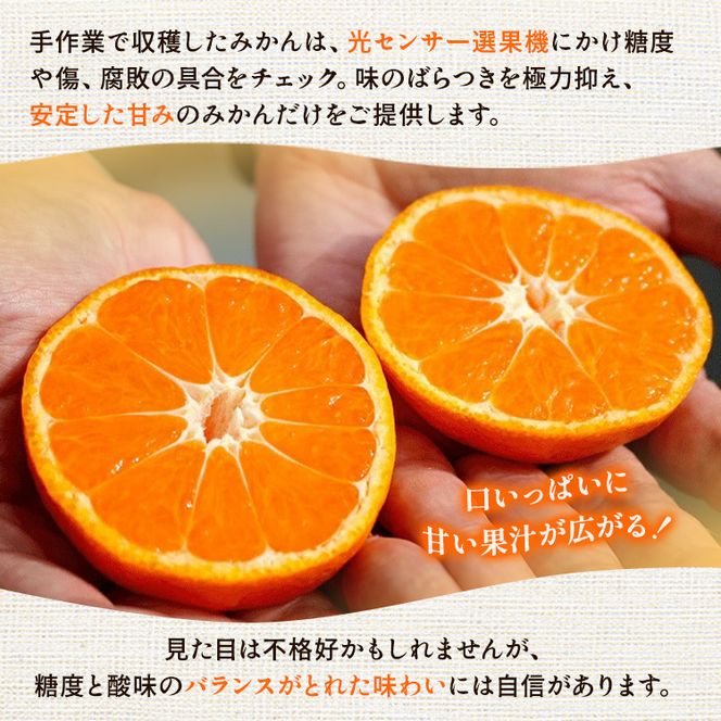 〈定期便〉【10・11・12月 全3回】家庭用 有田みかん定期便 1kg+250g（傷み補償分）※北海道・沖縄・離島への配送不可
