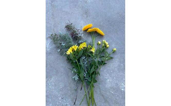 素材を楽しむ季節のお花＊ハーフ＊(全3回)| 花 記念 誕生日 サプライズ ギフト プレゼント 神奈川県 小田原市  142069_BN054