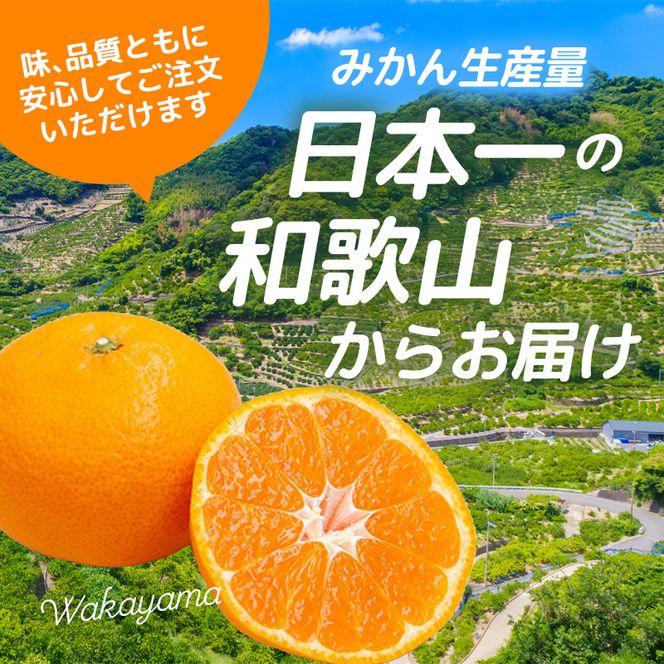 家庭用 有田 みかん サイズ混合(2S～2L)2.5kg+250g ※11月発送(完熟) / 温州みかん 有田みかん 訳あり 甘い 光センサー選果 果物 柑橘 和歌山 ※北海道・沖縄・離島への配送不可 【ikd004-cm-2d5-nov】
